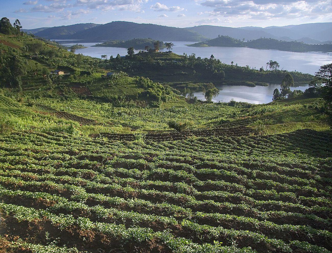 Lake Mburo