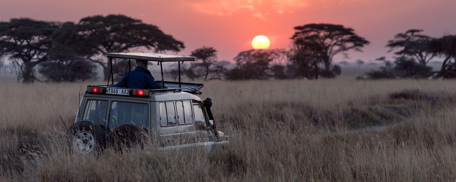 Tanzanie Safari