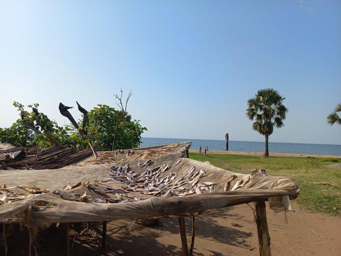 Kiryamboga lake Albert