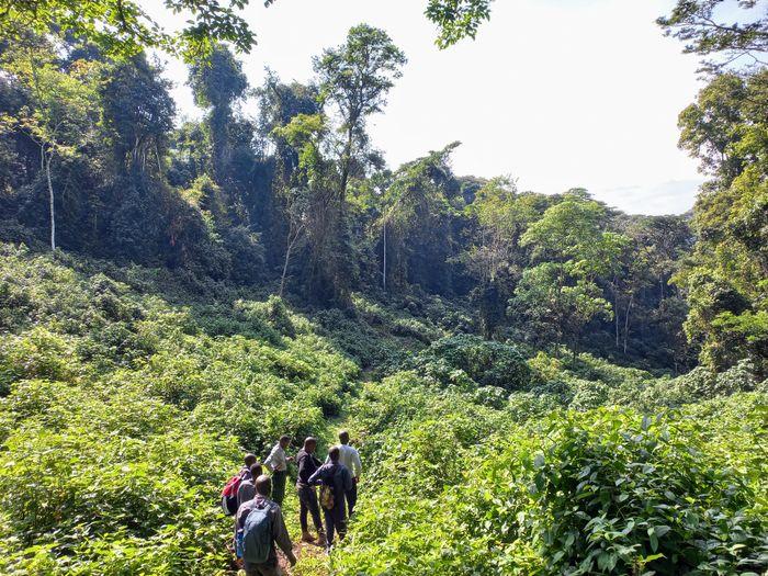 Bwindi National Park