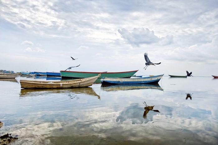 Lake Albert Uganda